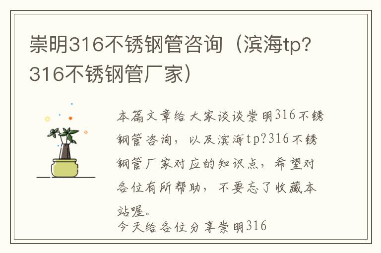 崇明316不锈钢管咨询（滨海tp?316不锈钢管厂家）