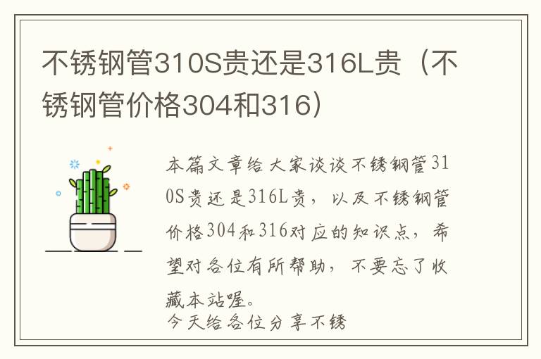 不锈钢管310S贵还是316L贵（不锈钢管价格304和316）