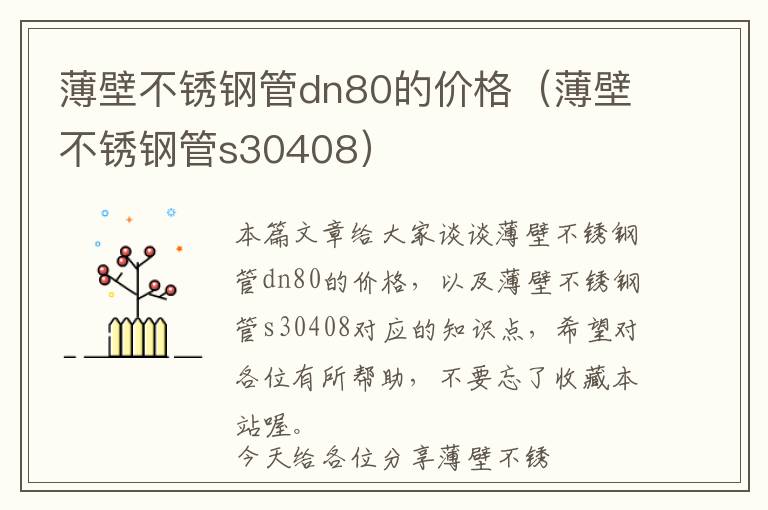 薄壁不锈钢管dn80的价格（薄壁不锈钢管s30408）